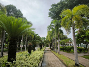 Công viên Tầm Vu