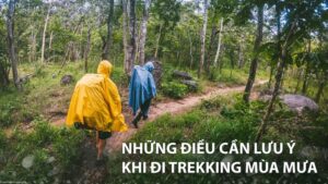 Đi leo núi gặp mưa phải làm gì