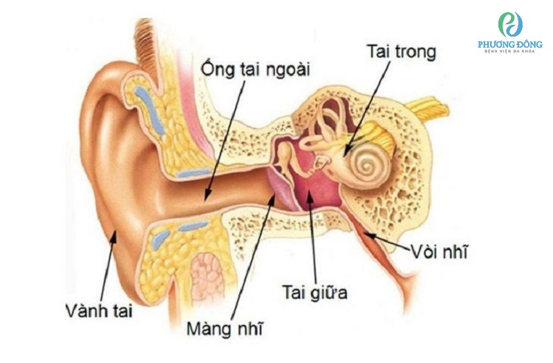 Đi máy bay bị ù tai phải làm sao - Hình 2