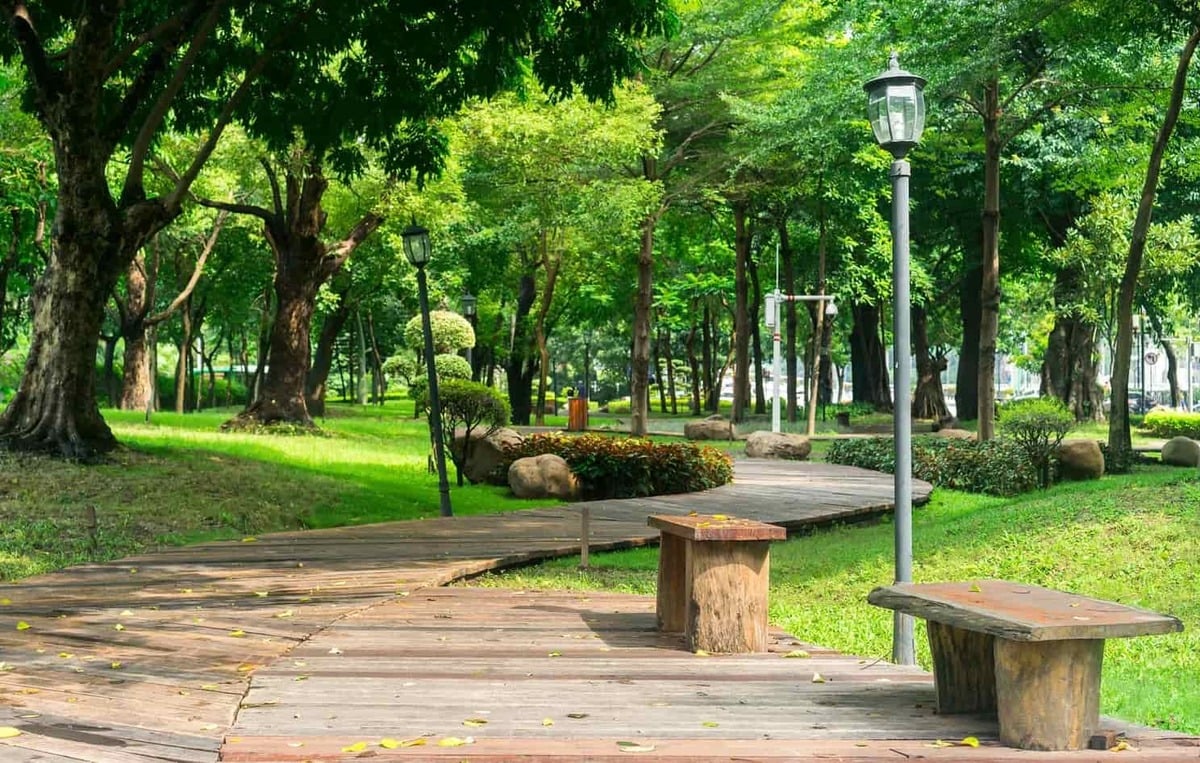 Địa điểm picnic ở Sài Gòn - Hình 4