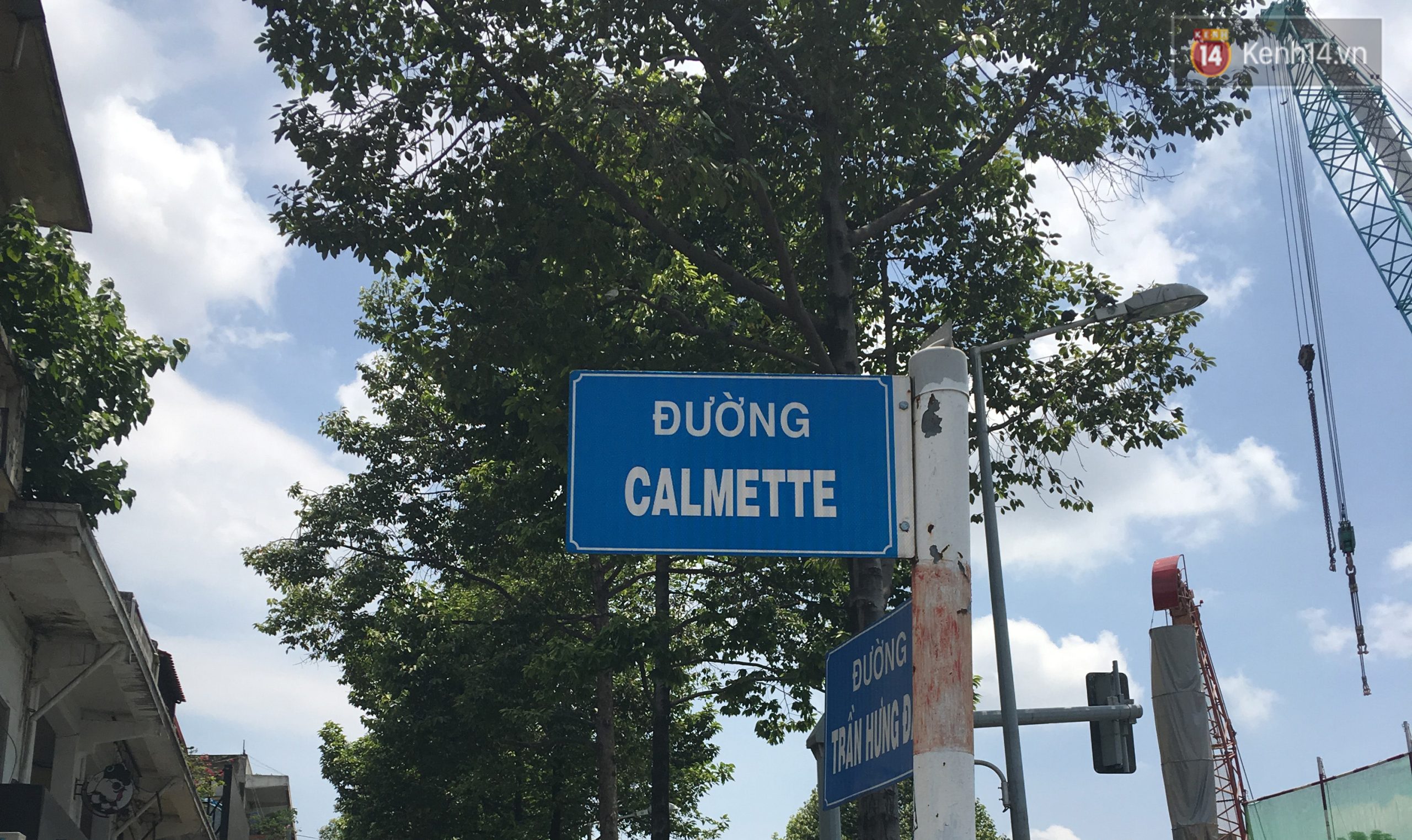 Đường Calmette - Hình 1