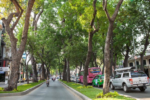 Đường Tôn Đức Thắng - Hình 5