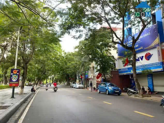 Đường Trần Hưng Đạo - Hình 3