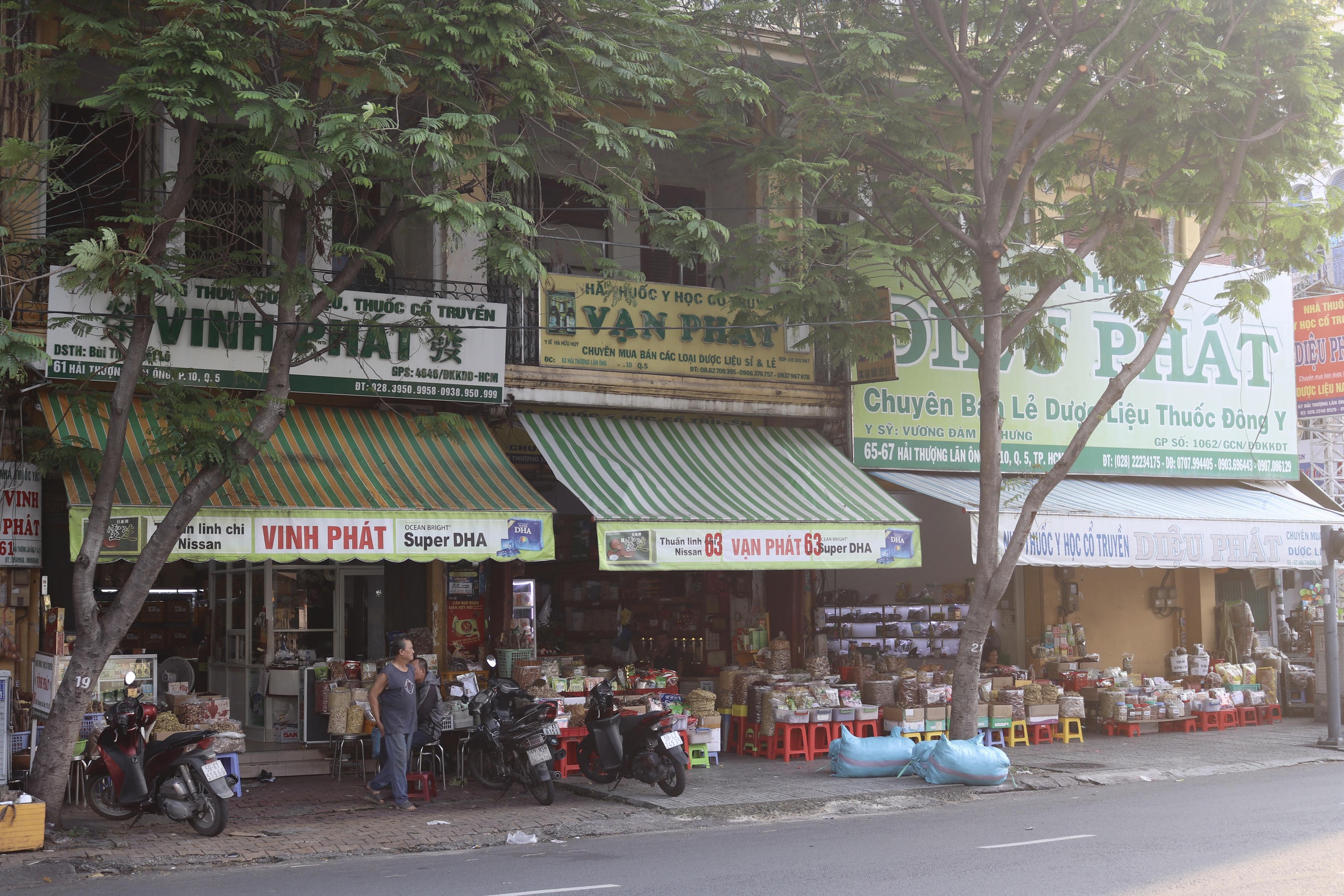 Khu phố Đông y Hải Thượng Lãn Ông - Hình 3