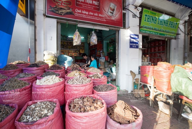 Khu phố Đông y Hải Thượng Lãn Ông - Hình 4