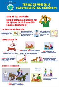 Làm gì khi bị chó đuổi