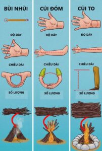 Làm gì khi bị lạc trên đảo