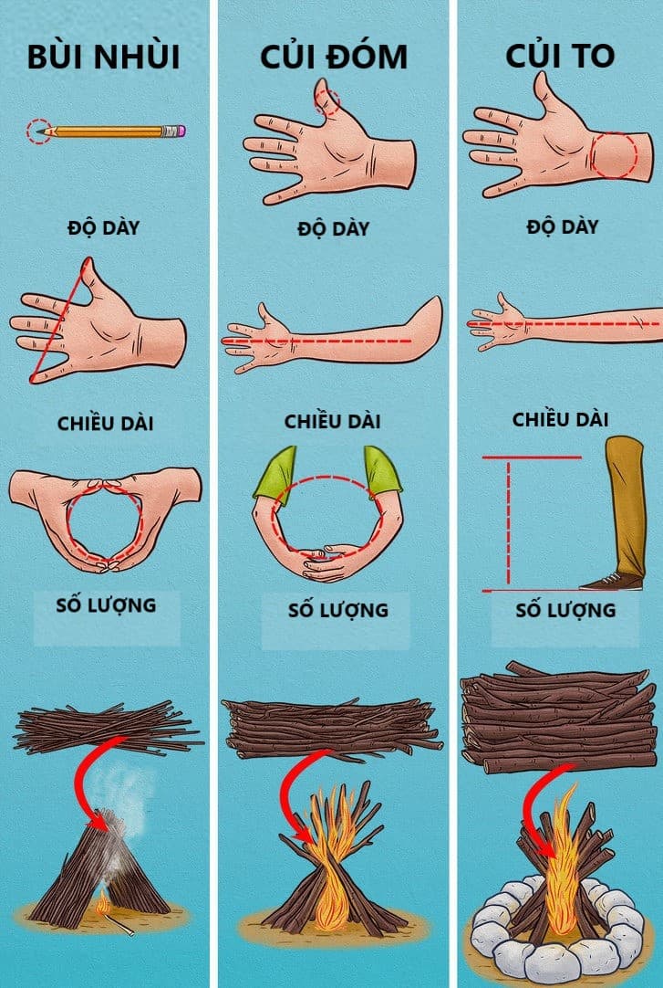 Làm gì khi bị lạc trên đảo - Hình 1