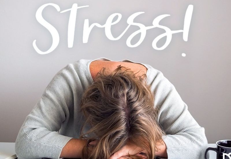 Làm gì khi bị mất ngủ khi đi du lịch - Hình 5