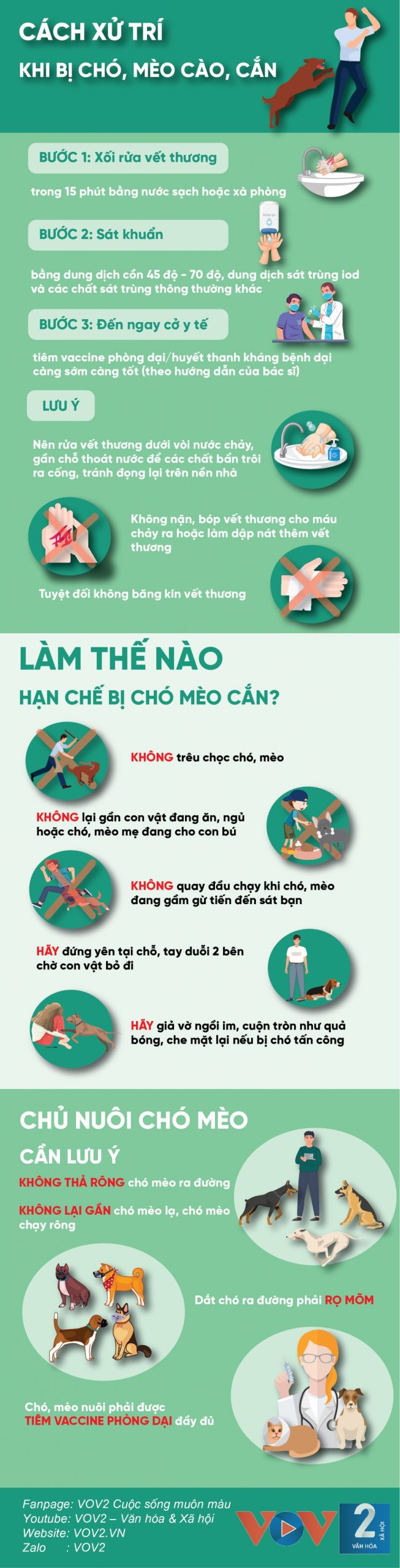 Làm gì khi bị mèo cào - Hình 3