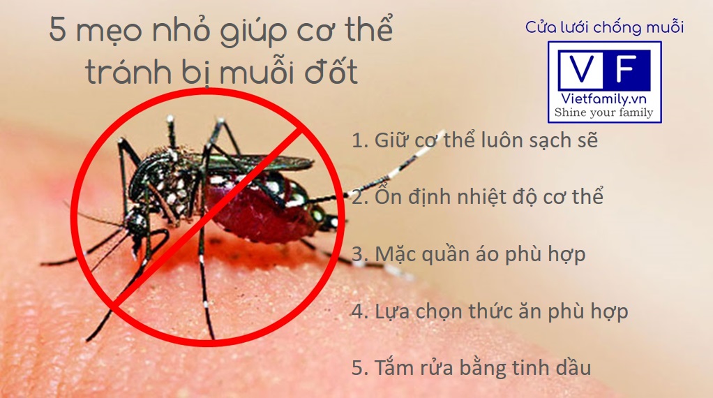 Làm gì khi bị muỗi đốt nhiều - Hình 2
