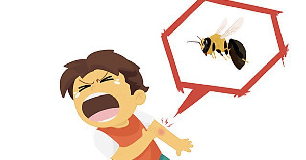 Làm gì khi bị ong đốt - Hình 5