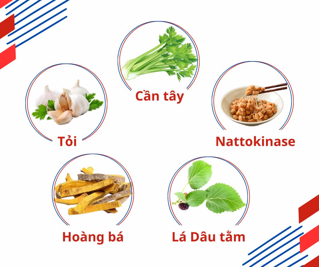 Làm gì khi bị tăng huyết áp khi đi du lịch - Hình 3