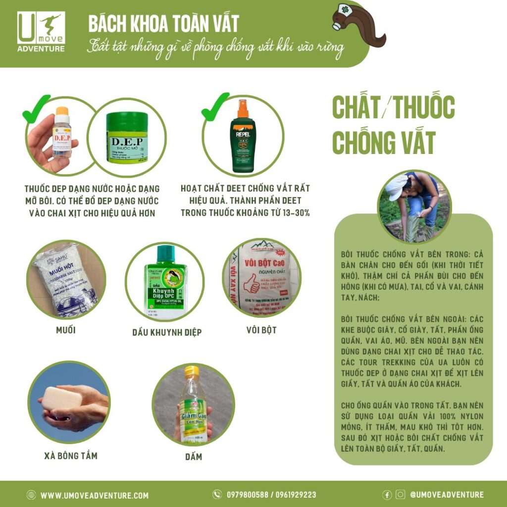 Làm gì khi bị vắt cắn