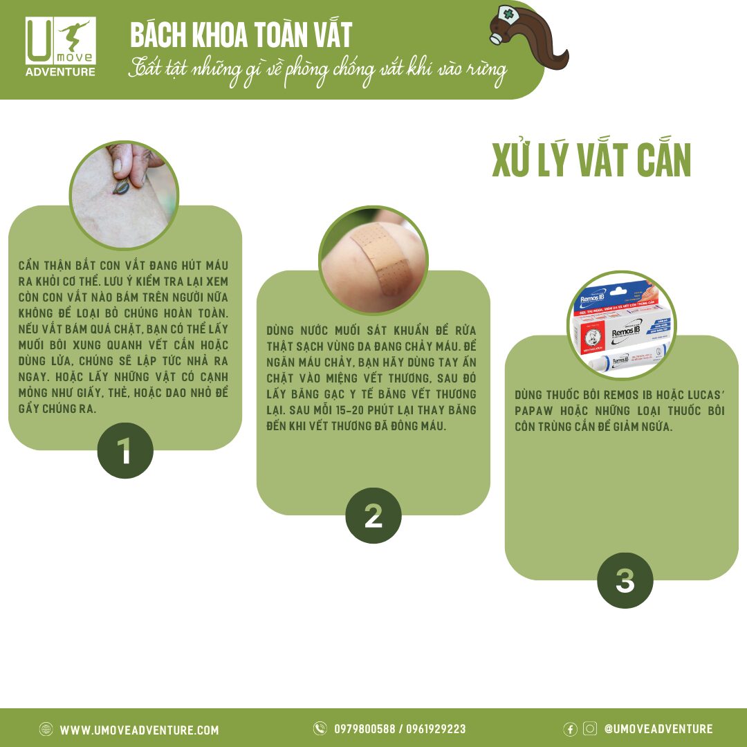 Làm gì khi bị vắt cắn - Hình 2