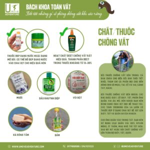 Làm gì khi bị vắt cắn