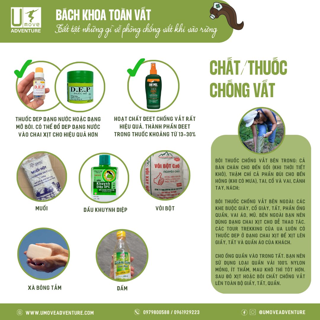 Làm gì khi bị vắt cắn - Hình 1