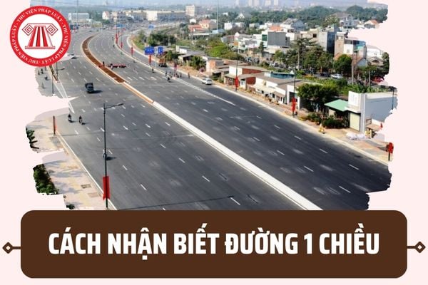 Làm gì khi đi nhầm đường một chiều - Hình 4