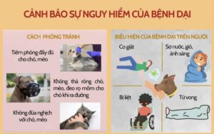 Làm gì khi gặp chó thả rông