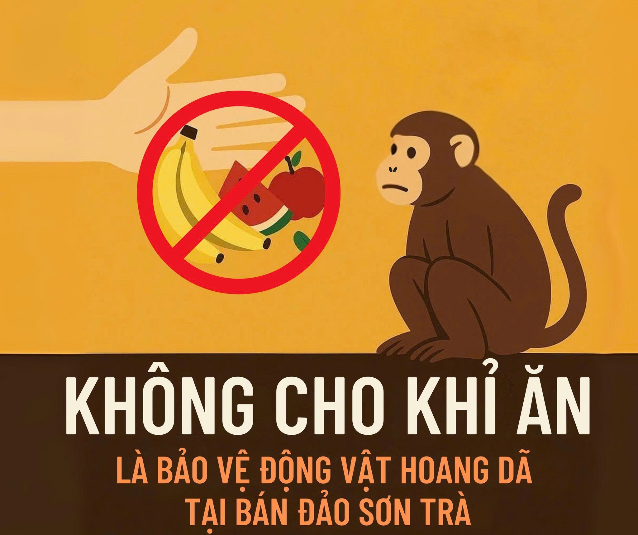 Làm gì khi gặp khỉ ở khu du lịch - Hình 3