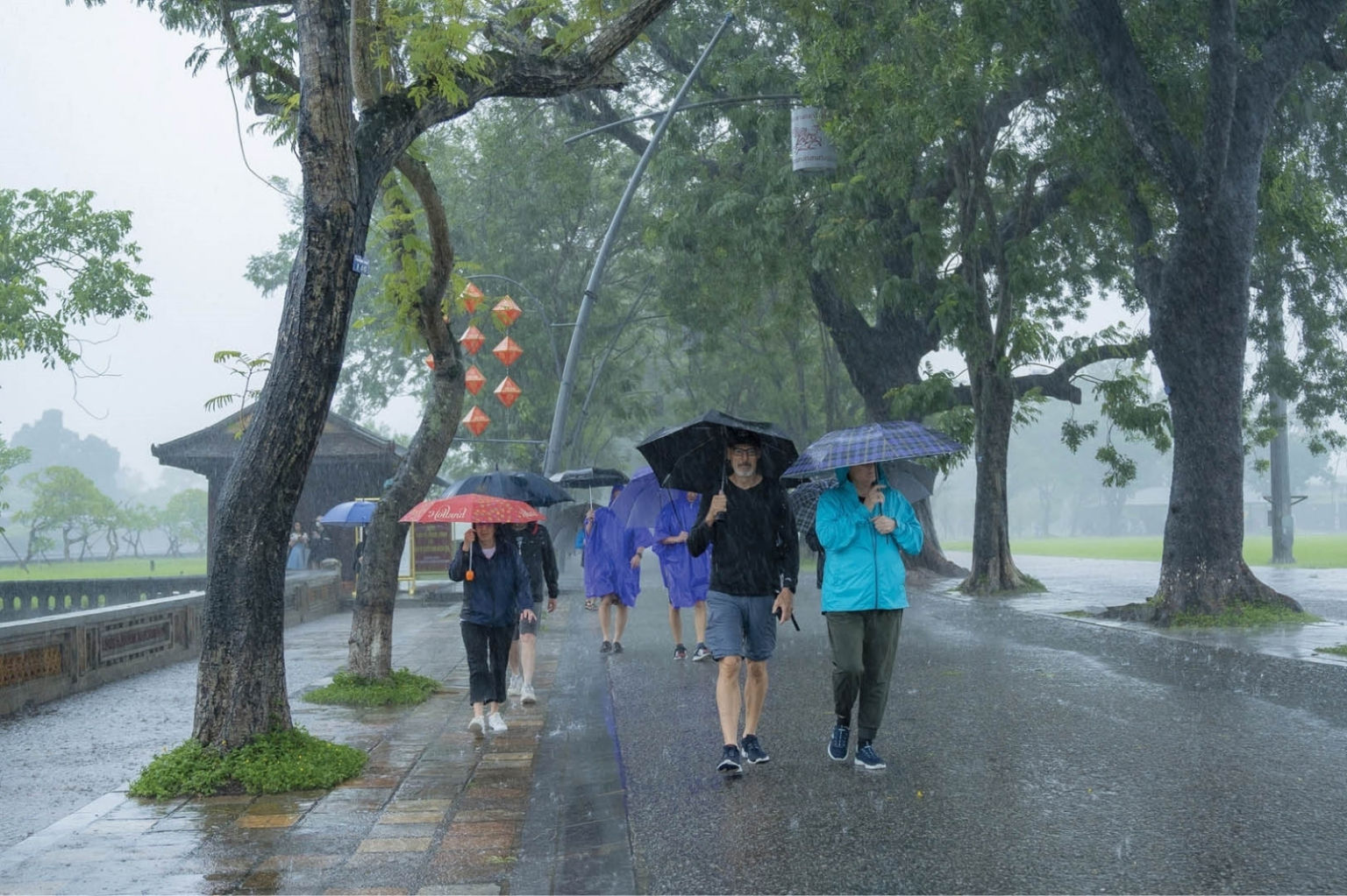 Làm gì khi gặp mưa lớn khi tham quan - Hình 3