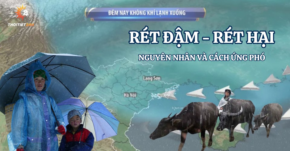 Làm gì khi gặp rét đậm khi du lịch - Hình 5