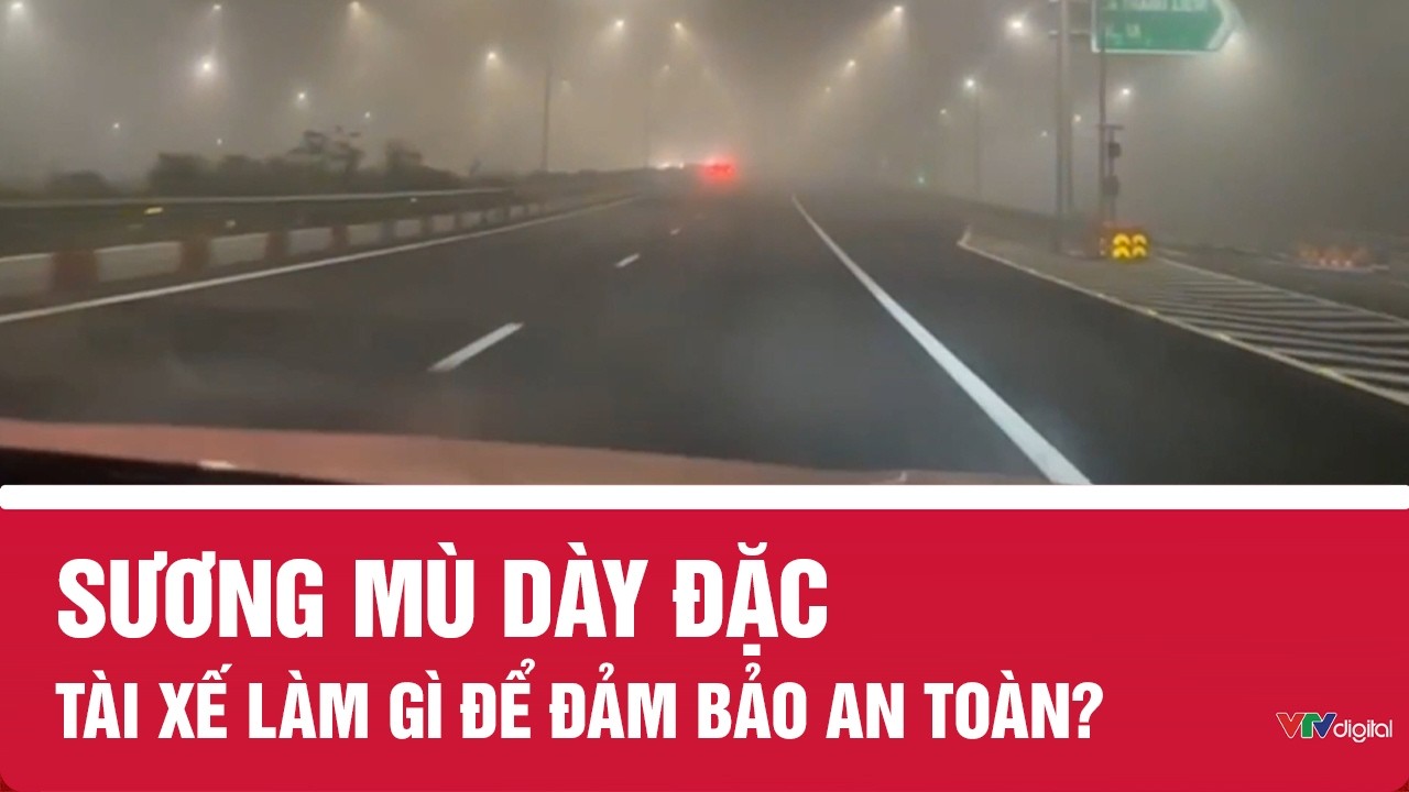 Làm gì khi gặp sương mù dày đặc - Hình 3
