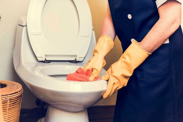 Làm gì khi không tìm được nhà vệ sinh - Hình 1
