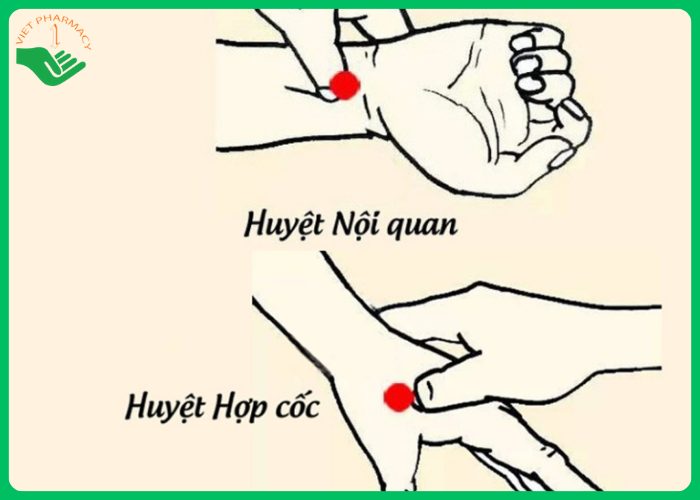Làm gì khi người lớn tuổi bị say xe nặng - Hình 3