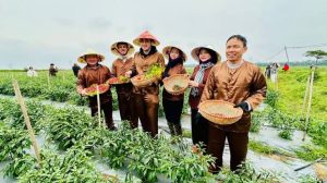 Làm gì khi phải cắt ngắn chuyến đi