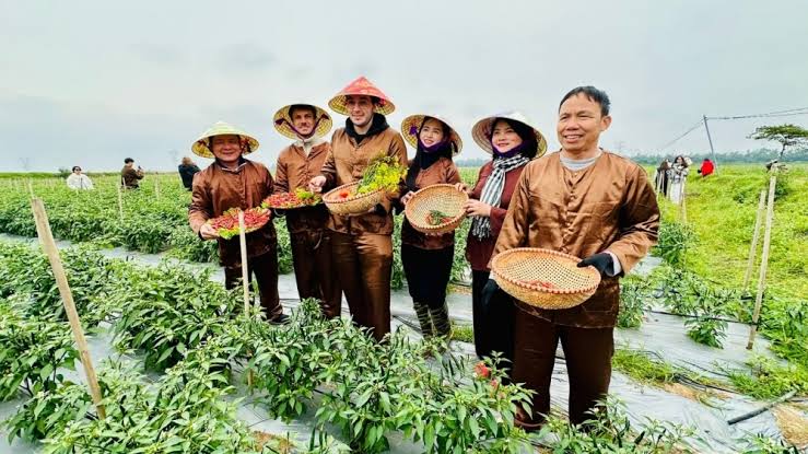 Làm gì khi phải cắt ngắn chuyến đi