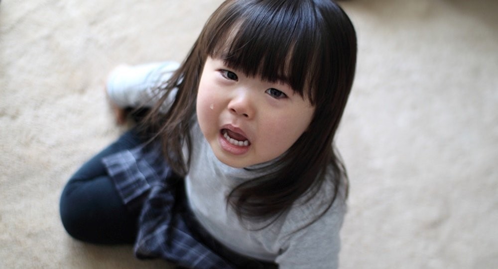 Làm gì khi trẻ không chịu ăn khi đi du lịch - Hình 2