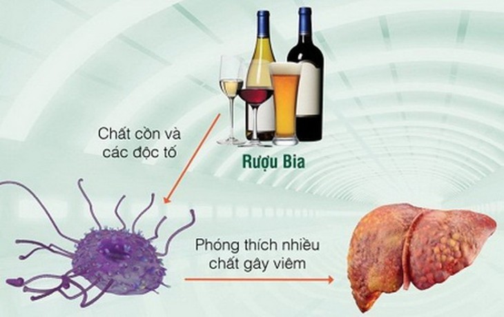 Làm gì khi uống nhầm đồ uống có cồn - Hình 2
