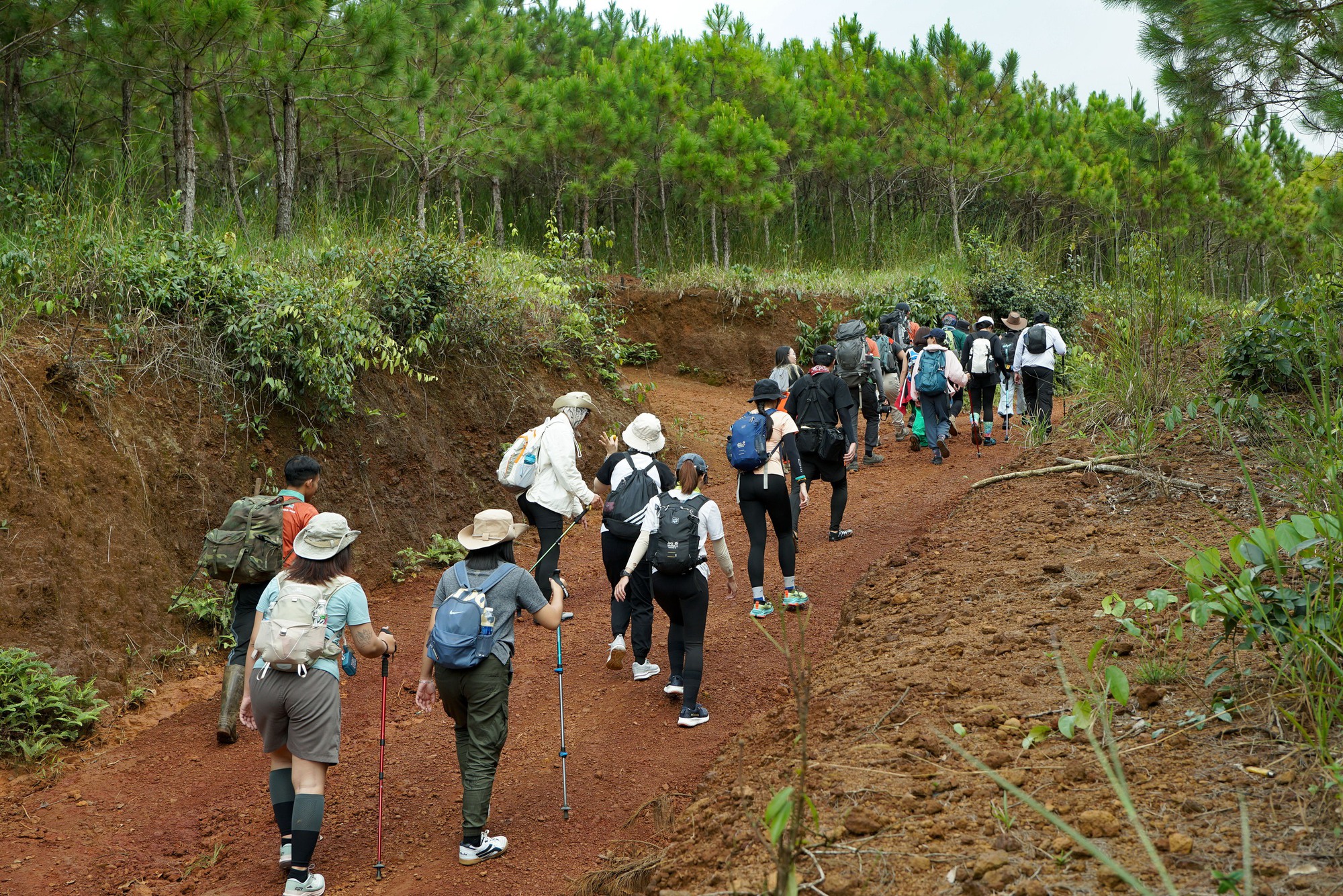 Mất dấu đường khi trekking - Hình 2