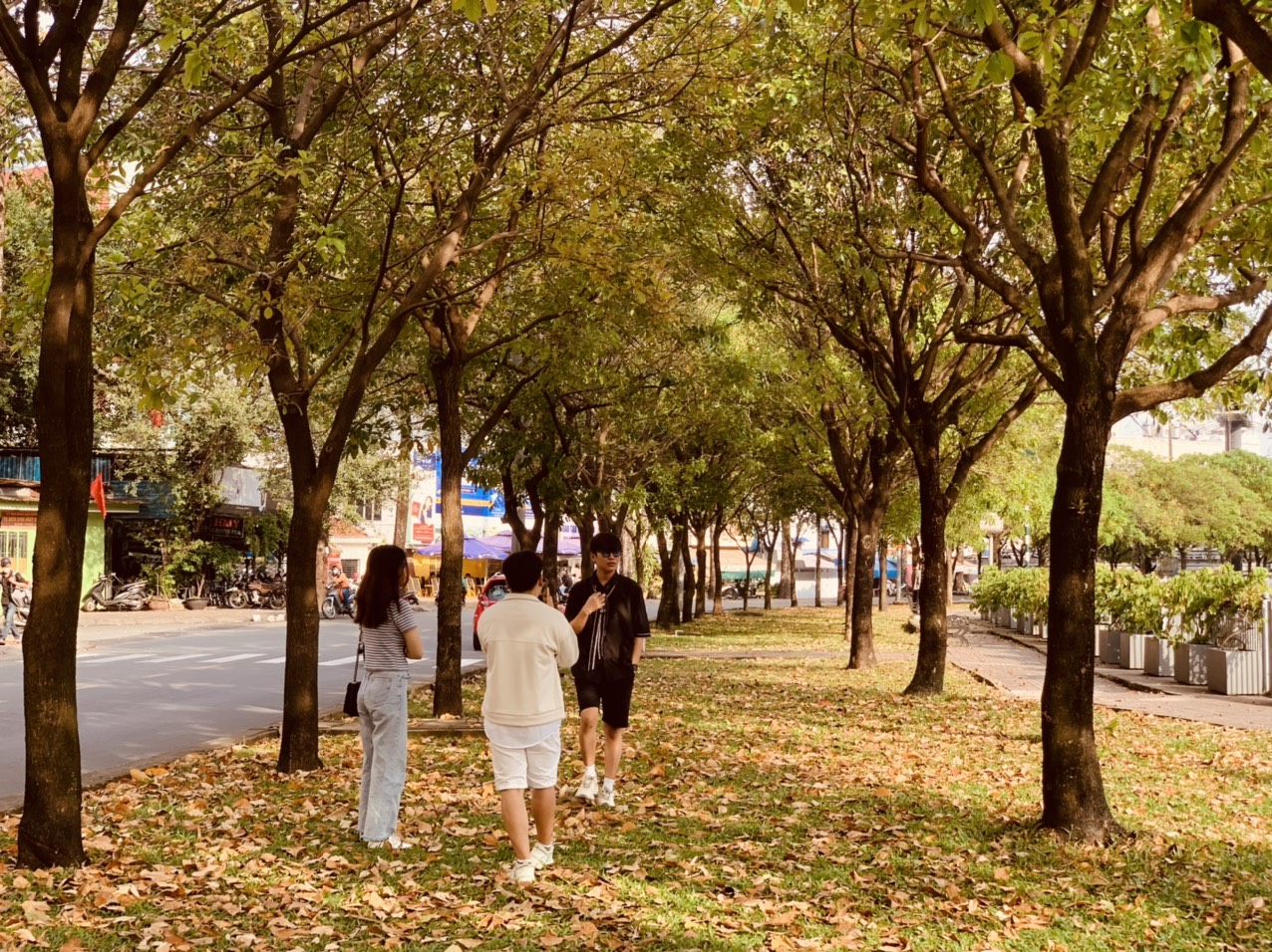 Những con đường check-in đẹp ở TP.HCM - Hình 4