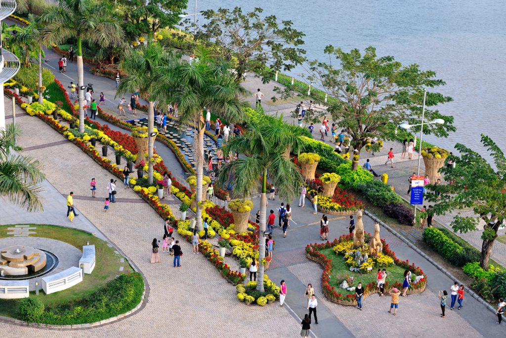 Những con đường đẹp để dạo bộ ở TP.HCM