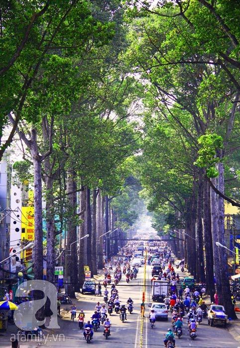 Những con đường đẹp nhất Sài Gòn