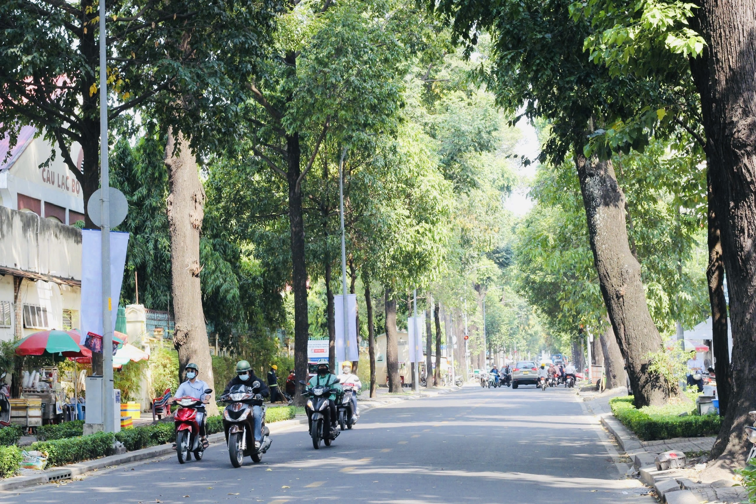 Những con đường đẹp ở Quận 3 - Hình 4