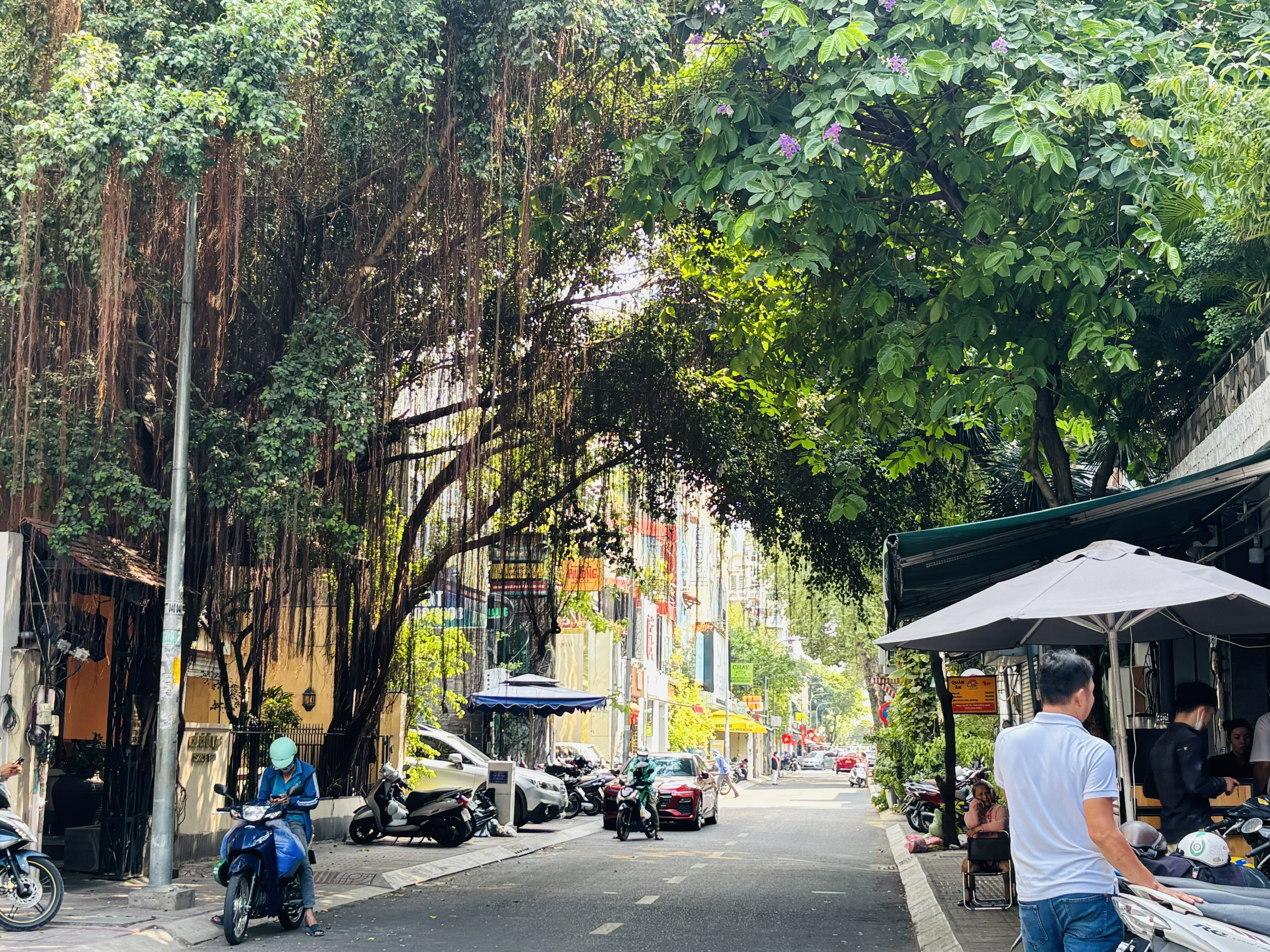 Những con đường đẹp ở Quận 3 - Hình 5