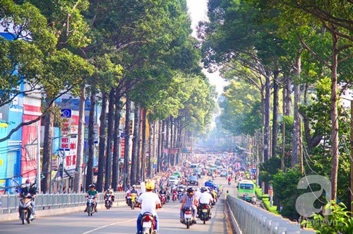 Những con đường đông khách du lịch nhất Sài Gòn - Hình 2