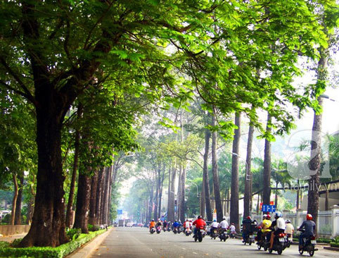Những con đường lãng mạn ở Sài Gòn - Hình 2