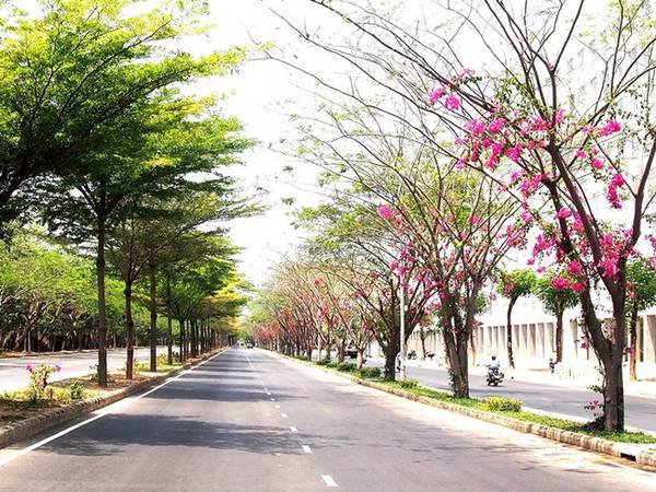 Những con đường lãng mạn ở Sài Gòn - Hình 1