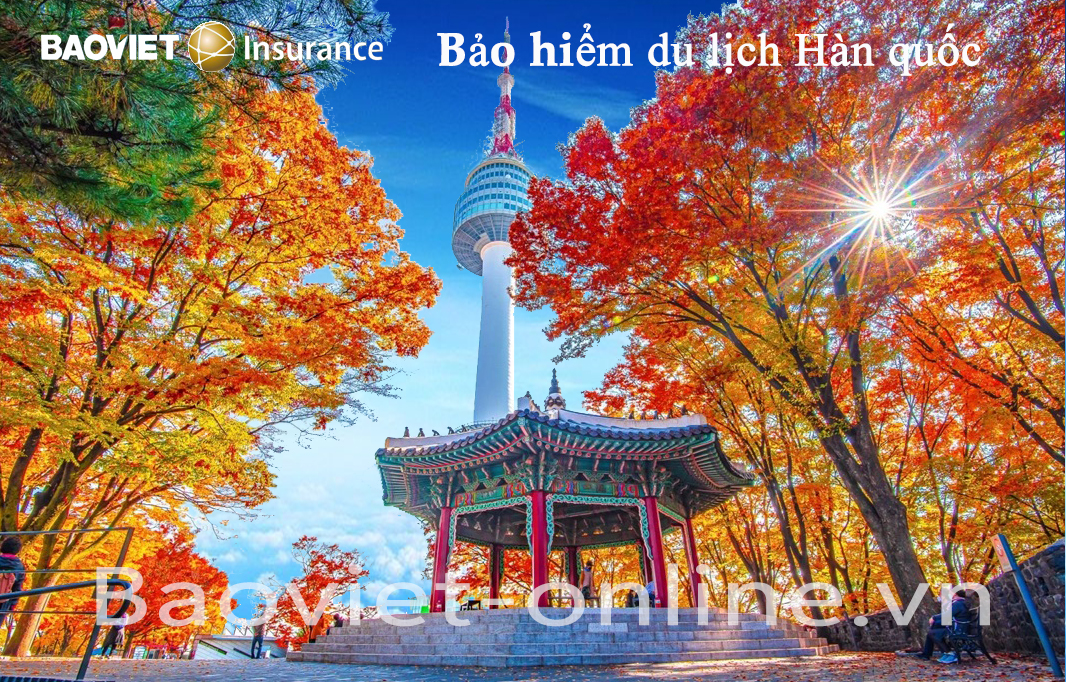 bảo hiểm du lịch hàn quốc - Hình 4