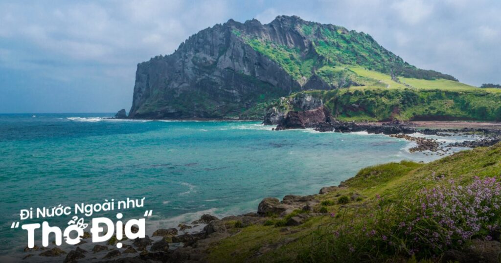 du lịch jeju