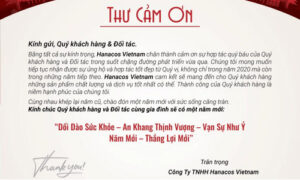email cảm ơn đối tác lữ hành