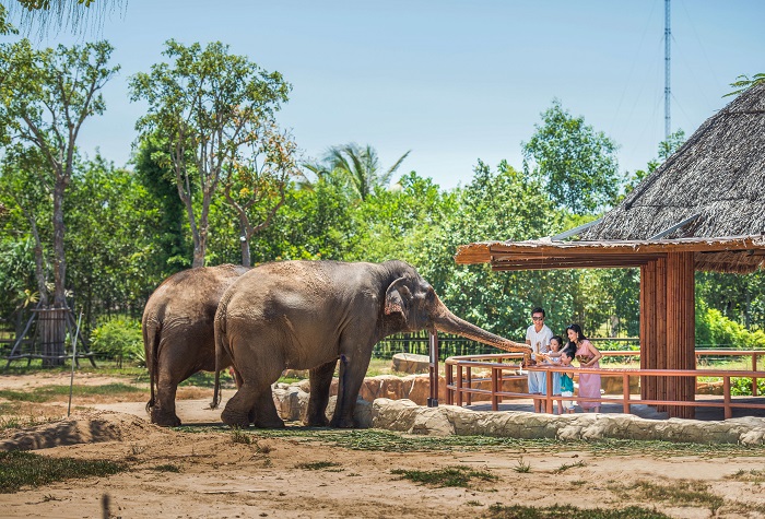 khu vui chơi trẻ em đà nẵng - Hình 5
