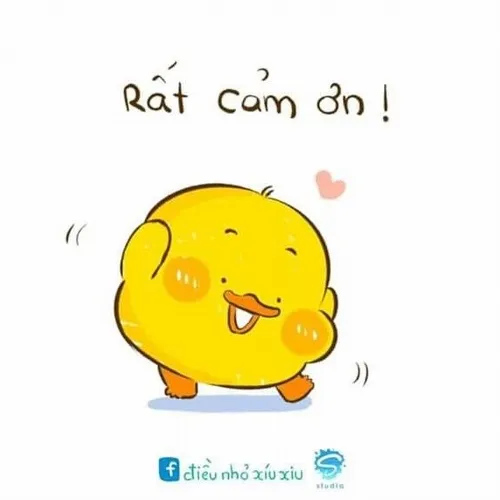 lời cảm ơn hài hước sau chuyến đi - Hình 5