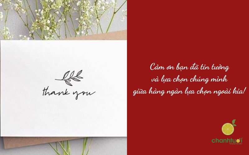 lời cảm ơn khách hàng sau kỳ nghỉ hè - Hình 5