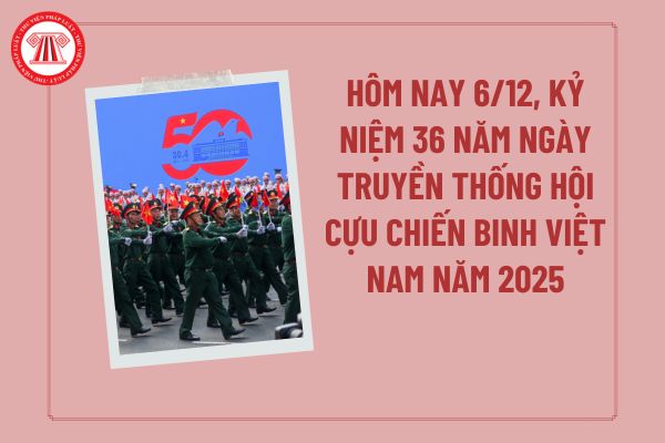 lời cảm ơn sau chuyến du lịch hội cựu chiến binh - Hình 1