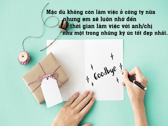 lời cảm ơn sau kỳ nghỉ - Hình 3